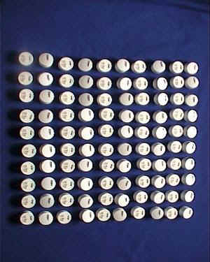 100dataloggers.jpg (28030 byte)