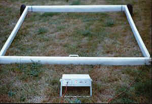 input.jpg (16907 byte)