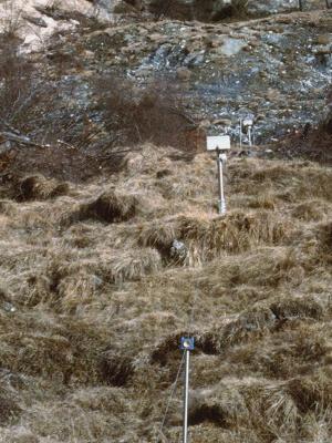 landslide.jpg (33947 byte)